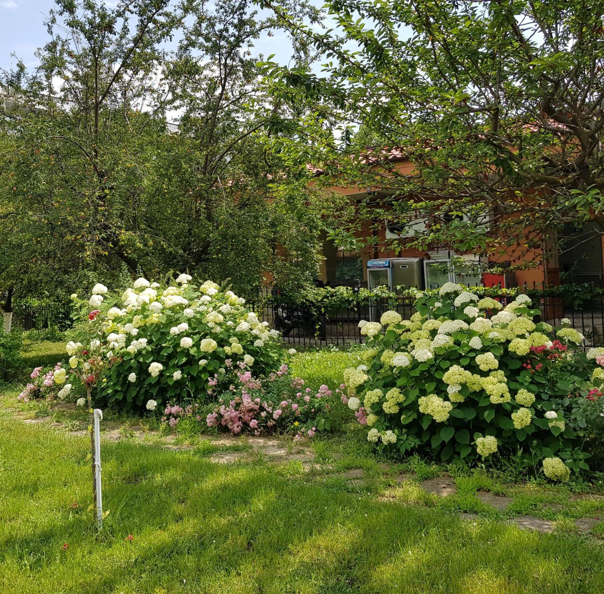 Family Hotel Magnolia Slantchev Briag Extérieur photo