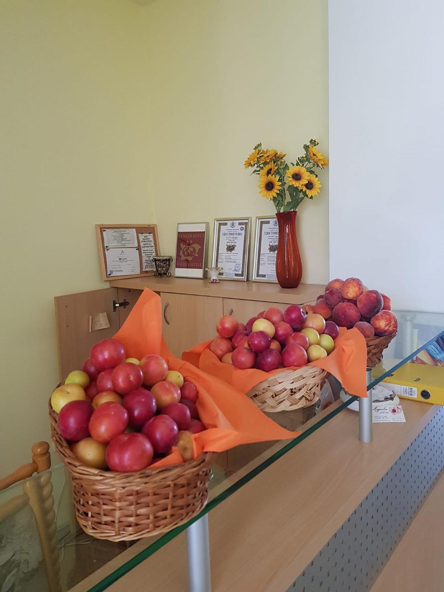 Family Hotel Magnolia Slantchev Briag Extérieur photo